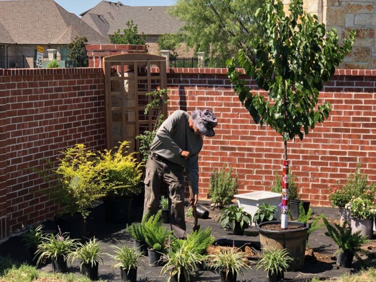 Man carefully planting a backyard landscape