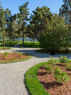 Example of completed landscape design